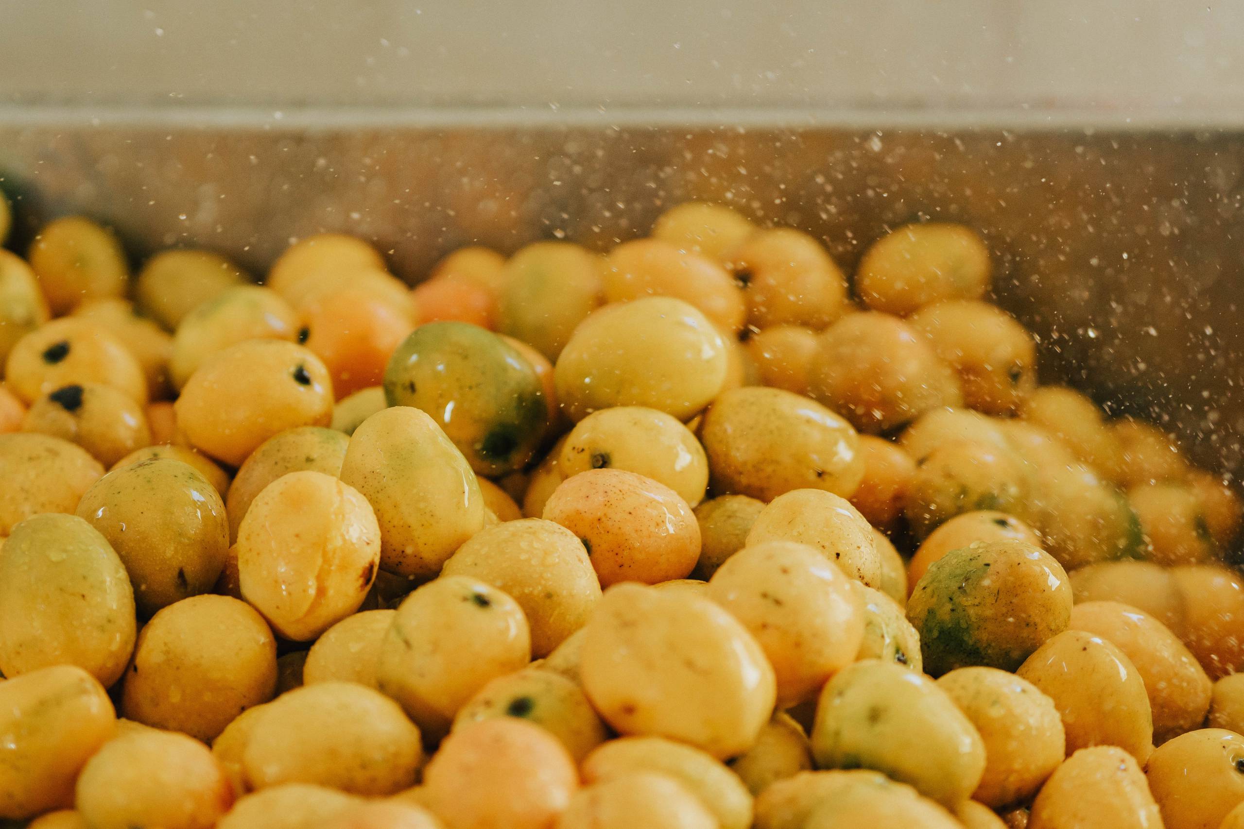 Mango Juice